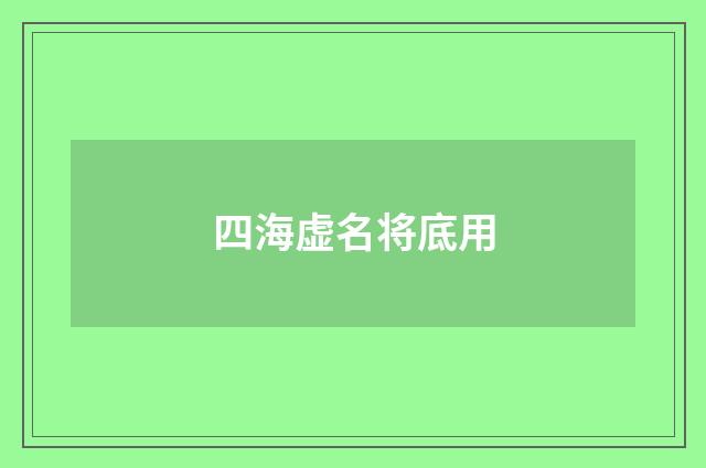 四海虚名将底用