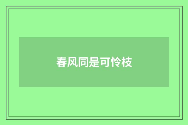 春风同是可怜枝