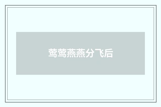 莺莺燕燕分飞后