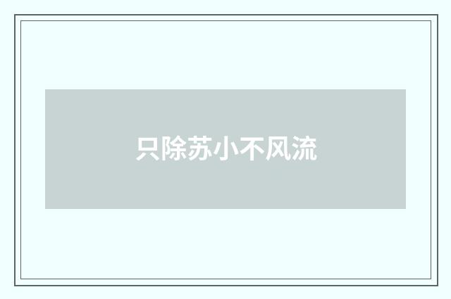 只除苏小不风流