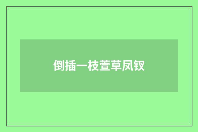 倒插一枝萱草凤钗