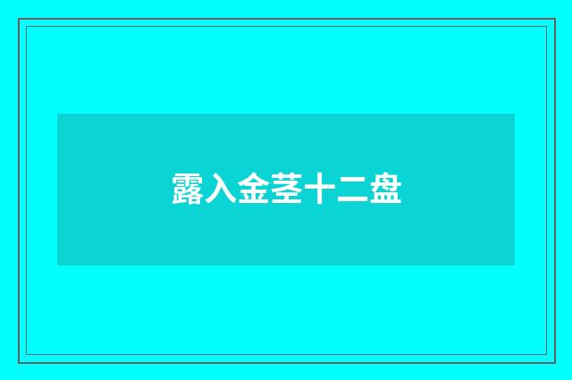 露入金茎十二盘