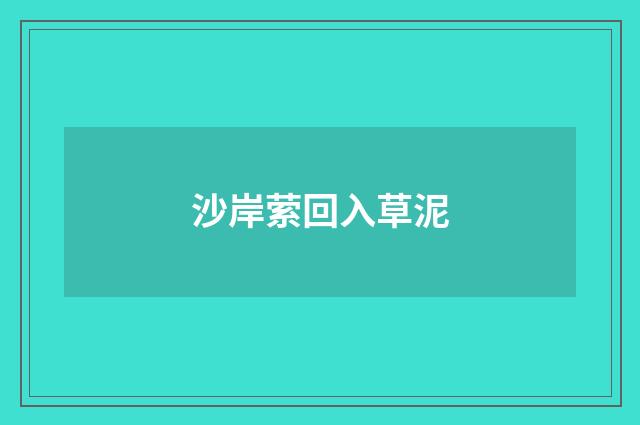 沙岸萦回入草泥