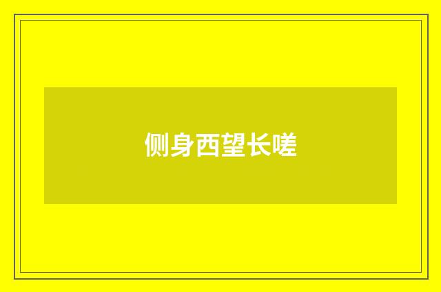 侧身西望长嗟