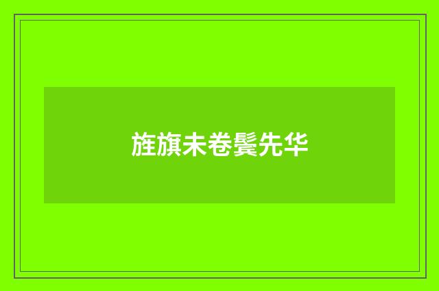 旌旗未卷鬓先华