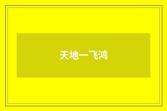 天地一飞鸿