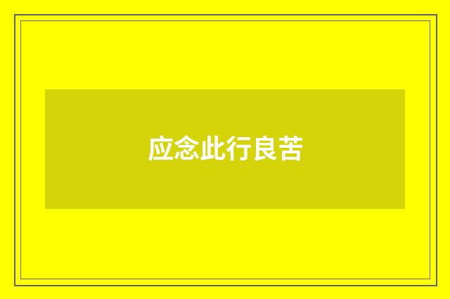 应念此行良苦