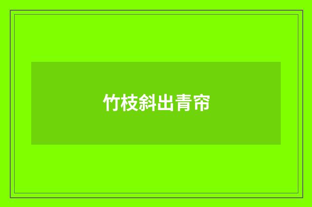 竹枝斜出青帘