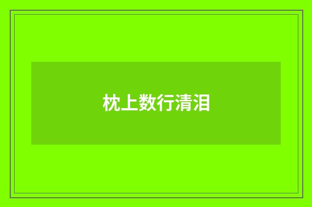 枕上数行清泪