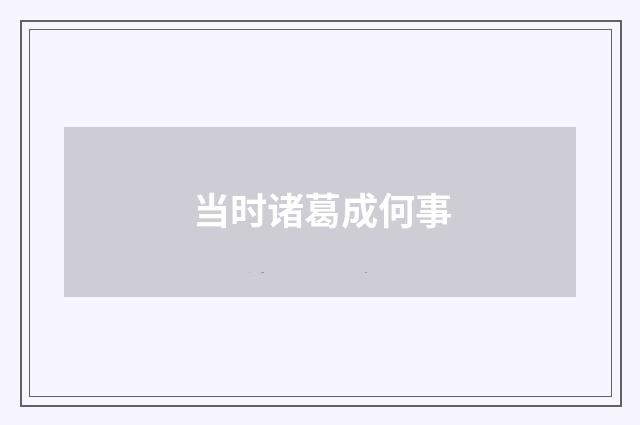 当时诸葛成何事