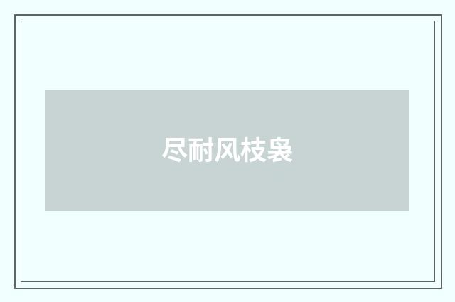 尽耐风枝袅