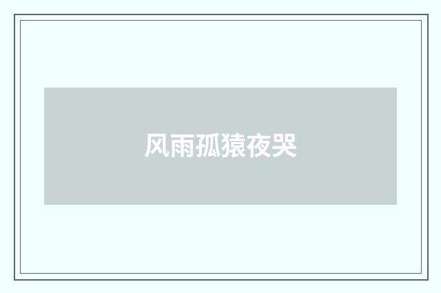 风雨孤猿夜哭