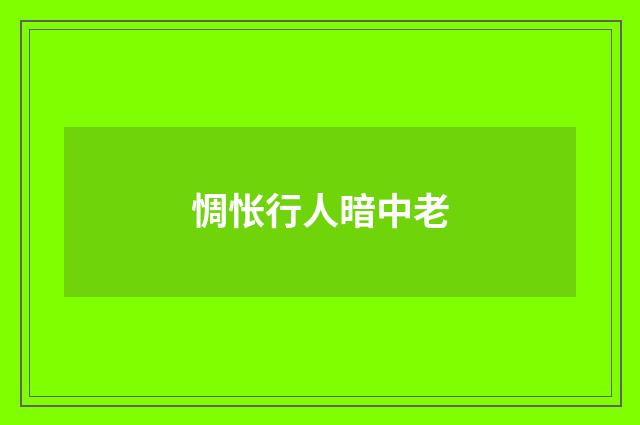 惆怅行人暗中老