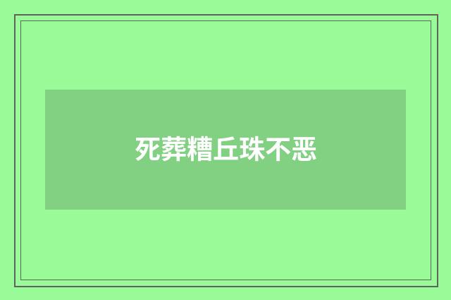 死葬糟丘珠不恶