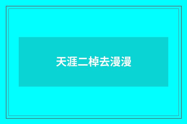 天涯二棹去漫漫