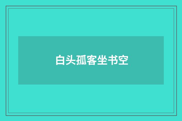 白头孤客坐书空