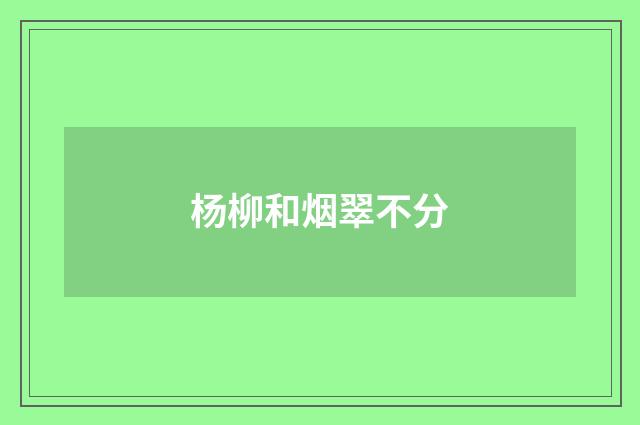杨柳和烟翠不分