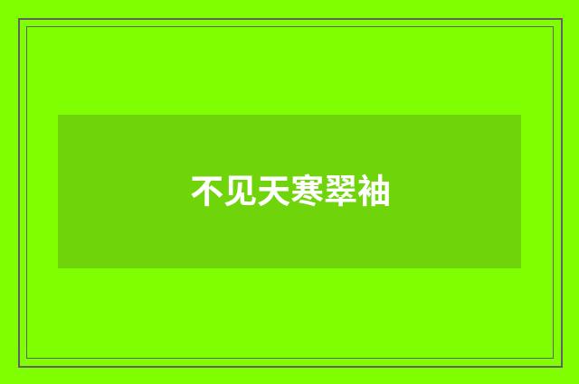 不见天寒翠袖