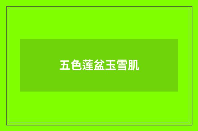 五色莲盆玉雪肌