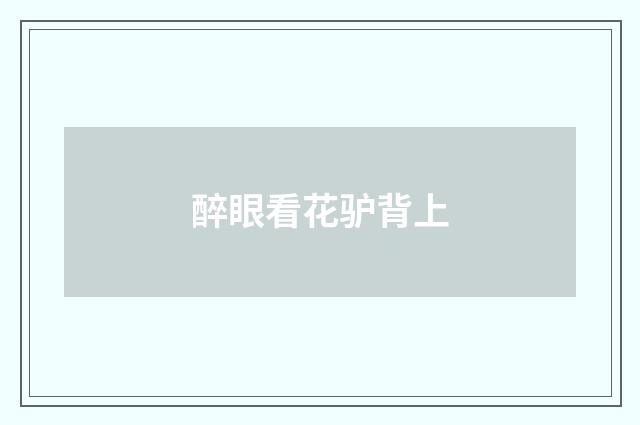 醉眼看花驴背上