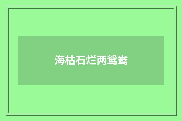 海枯石烂两鸳鸯