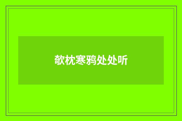 欹枕寒鸦处处听