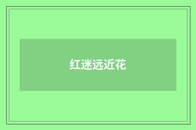 红迷远近花