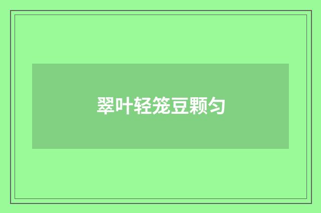 翠叶轻笼豆颗匀