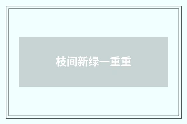 枝间新绿一重重