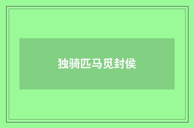 独骑匹马觅封侯