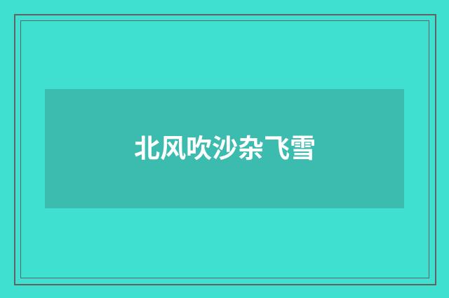 北风吹沙杂飞雪