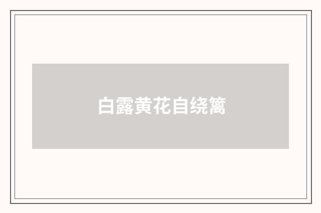 白露黄花自绕篱