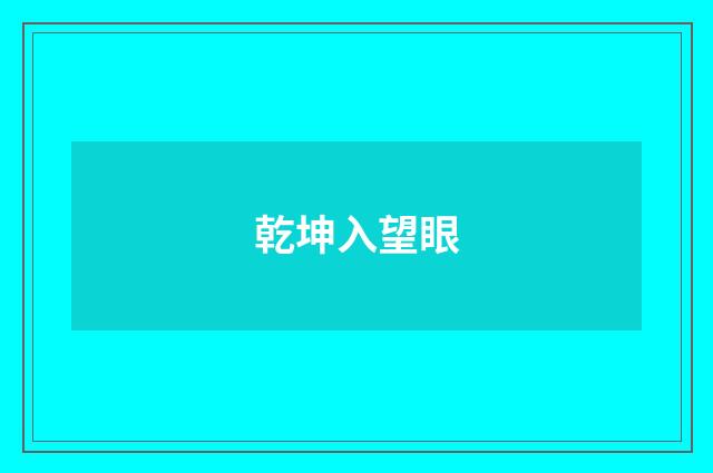 乾坤入望眼