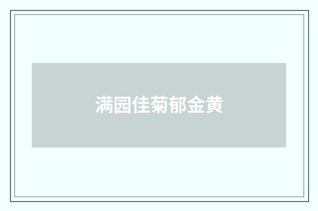 满园佳菊郁金黄