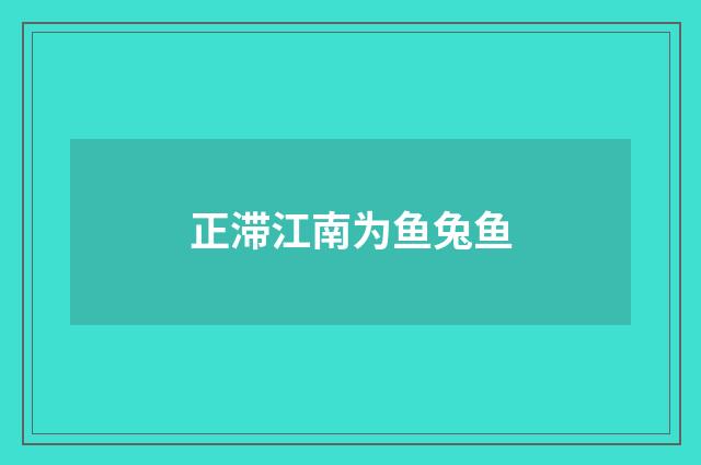 正滞江南为鱼兔鱼