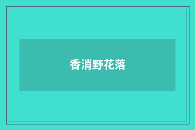 香消野花落