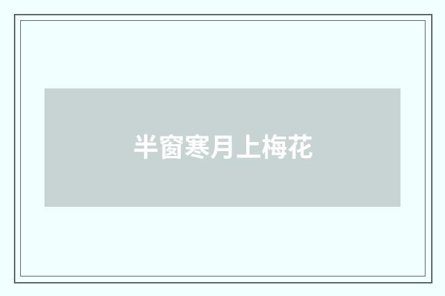 半窗寒月上梅花