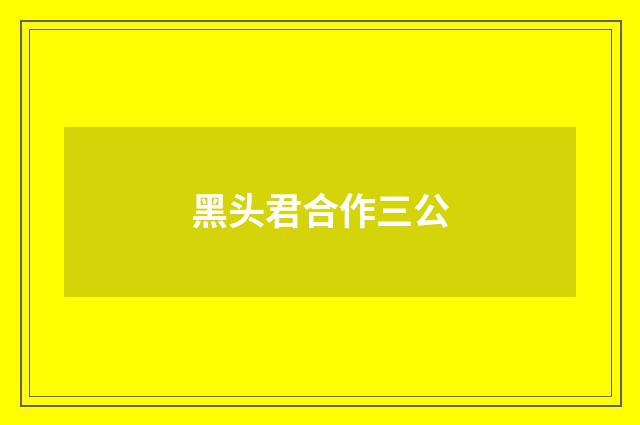 黑头君合作三公