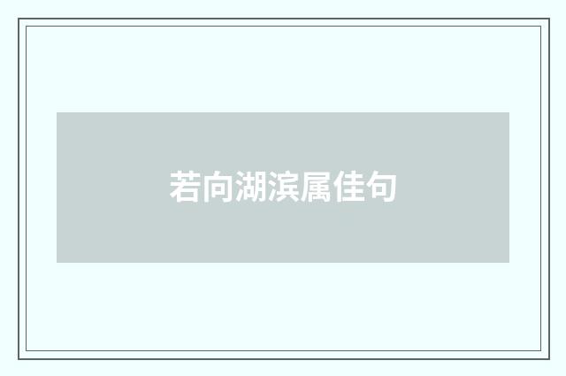 若向湖滨属佳句