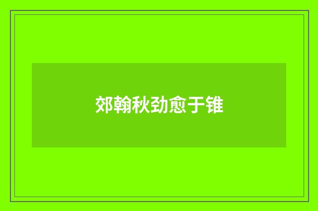 郊翰秋劲愈于锥