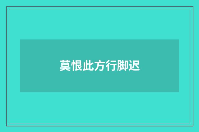 莫恨此方行脚迟
