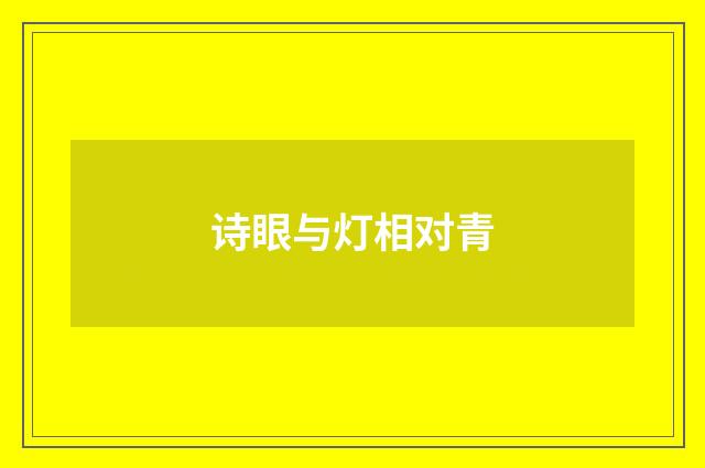 诗眼与灯相对青