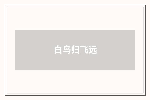白鸟归飞远