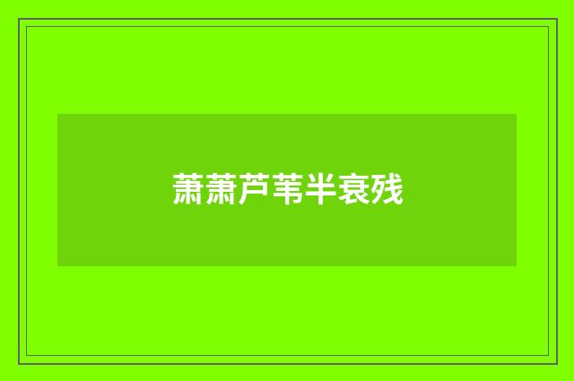 萧萧芦苇半衰残