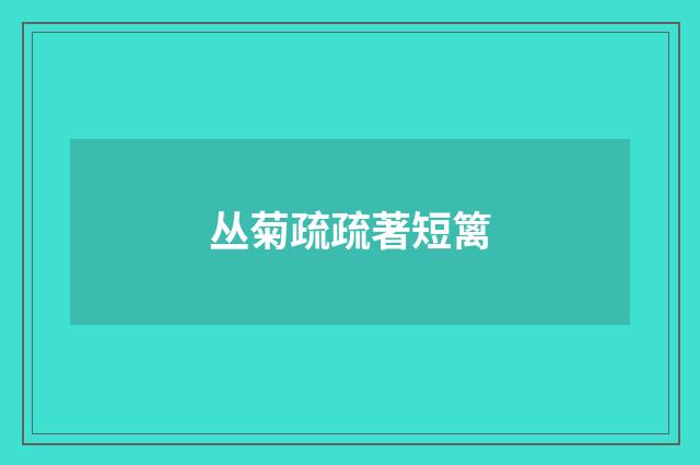 丛菊疏疏著短篱