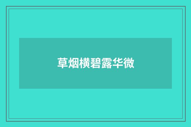 草烟横碧露华微