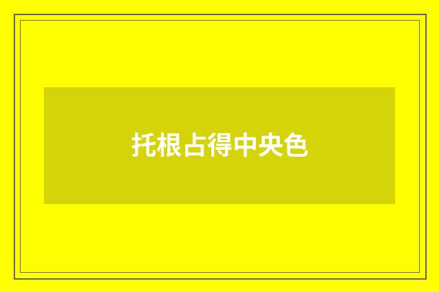 托根占得中央色