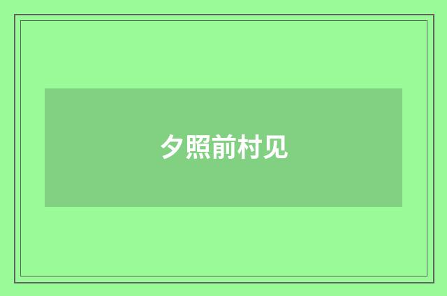 夕照前村见