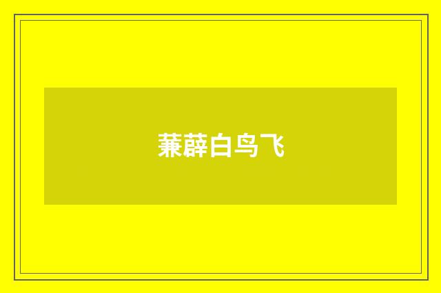 蒹薜白鸟飞