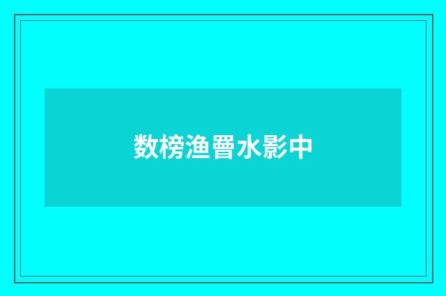 数榜渔罾水影中